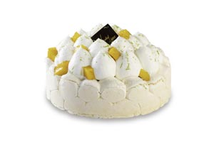 pavlova